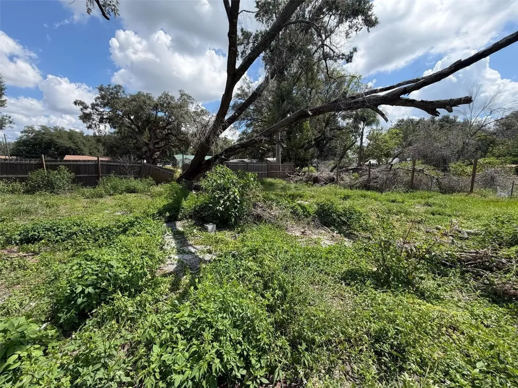 38343 Corey Street Zephyrhills FL 33542