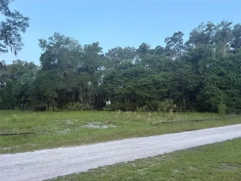 161 Little Orange Lake Drive Hawthorne FL 32640