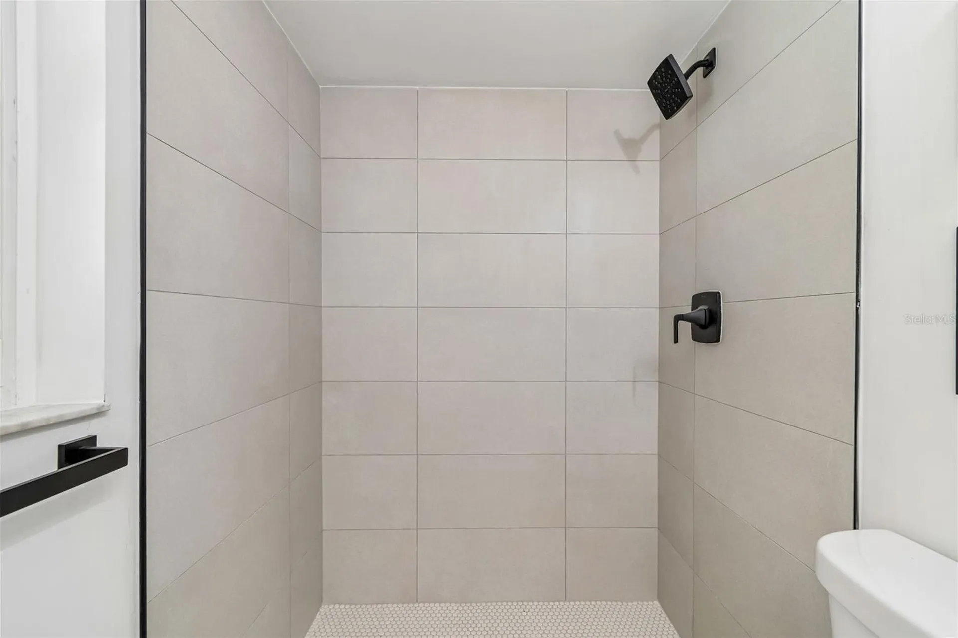 3545 Snowy Egret Court Palm Harbor FL 34683