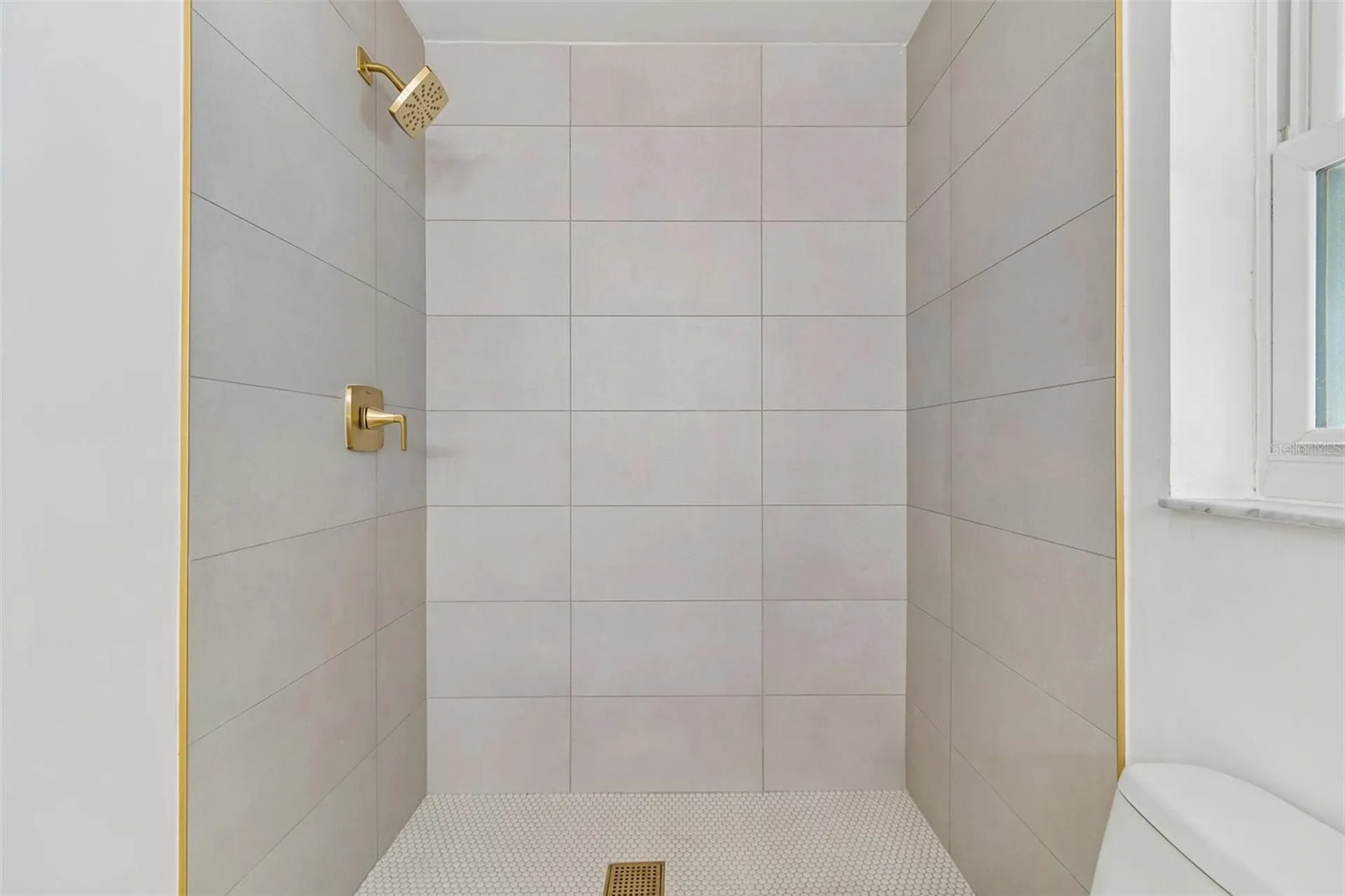 3545 Snowy Egret Court Palm Harbor FL 34683