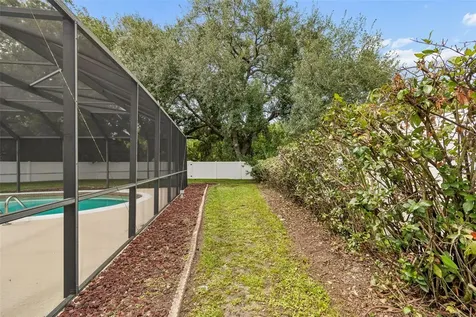 3545 Snowy Egret Court Palm Harbor FL 34683