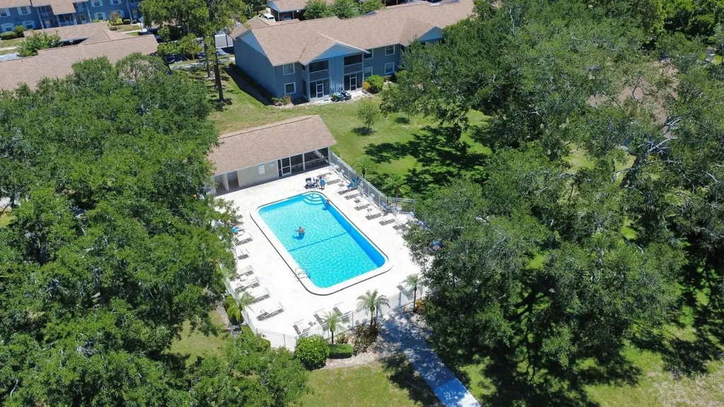 1420 Oak Hill Drive Dunedin FL 34698
