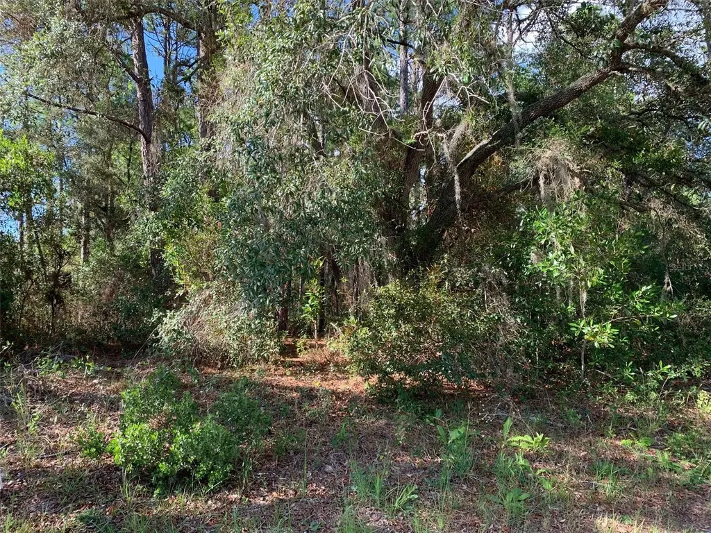 4081 W Findlay Street Dunnellon FL 34433