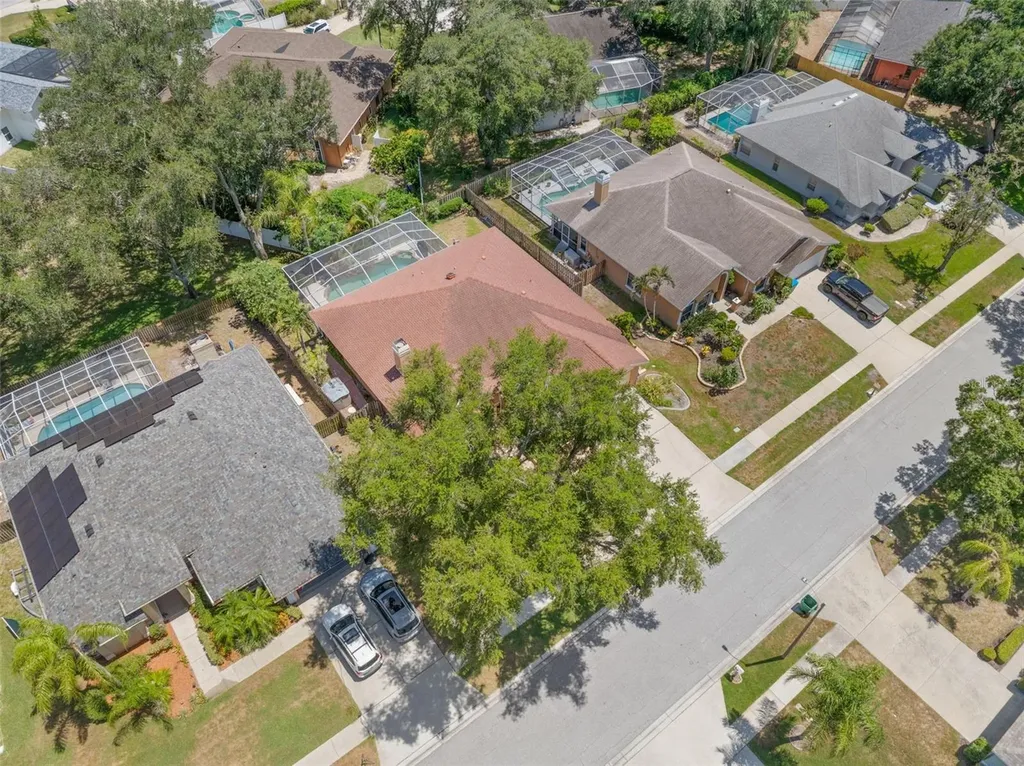 895 Whippoorwill Drive Palm Harbor FL 34683