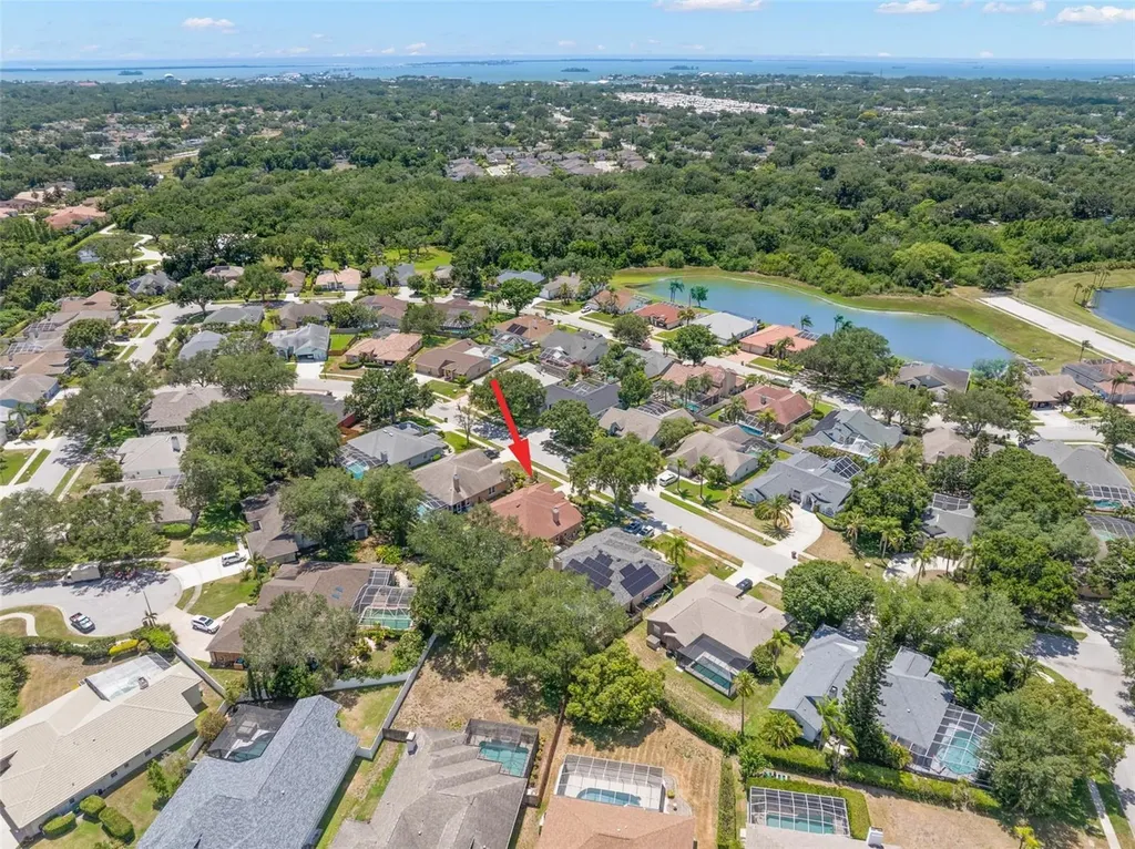 895 Whippoorwill Drive Palm Harbor FL 34683