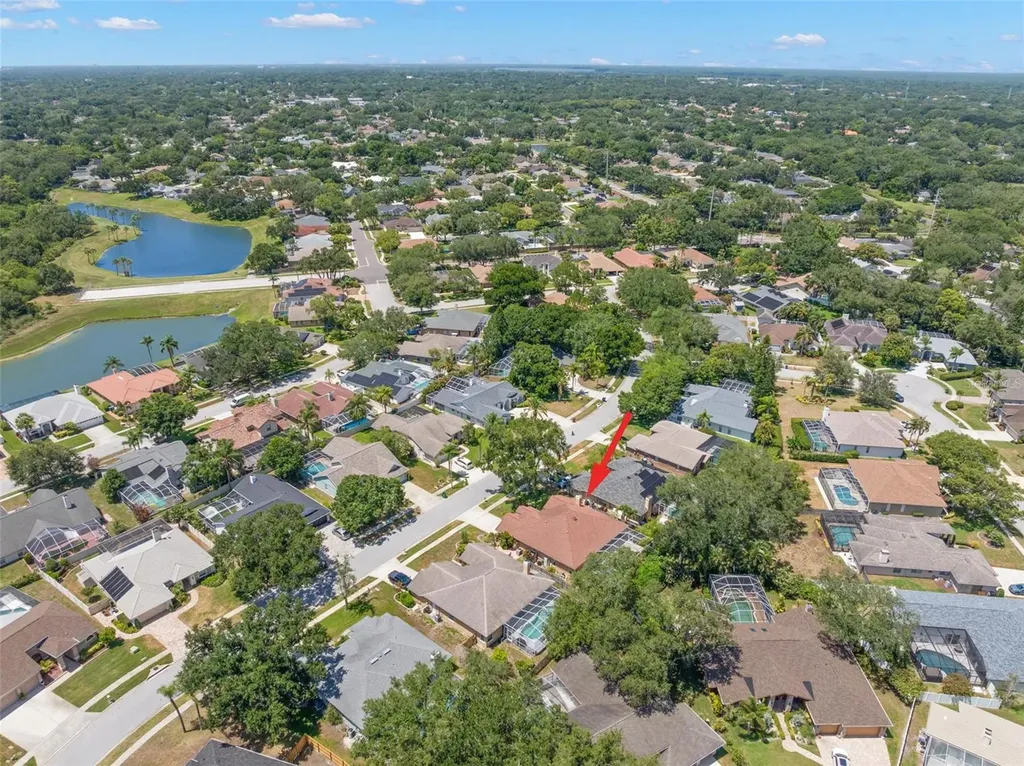895 Whippoorwill Drive Palm Harbor FL 34683