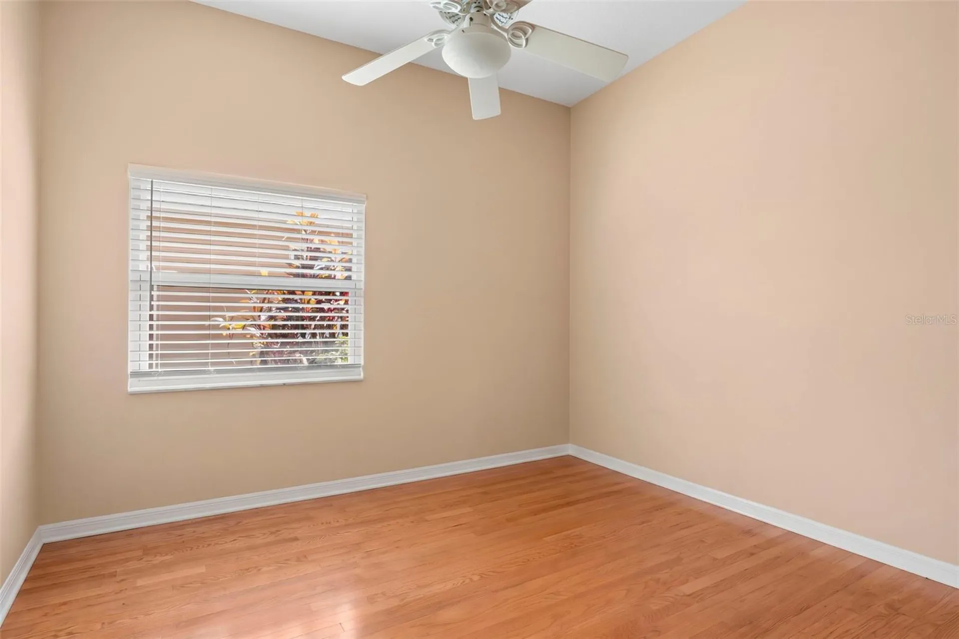 895 Whippoorwill Drive Palm Harbor FL 34683