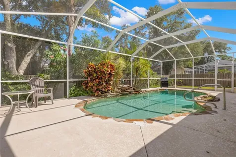 895 Whippoorwill Drive Palm Harbor FL 34683