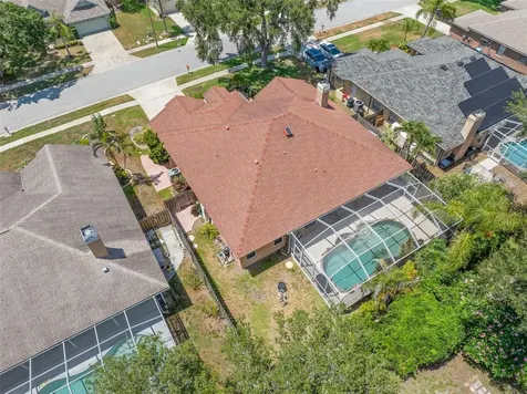 895 Whippoorwill Drive Palm Harbor FL 34683