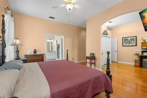 895 Whippoorwill Drive Palm Harbor FL 34683