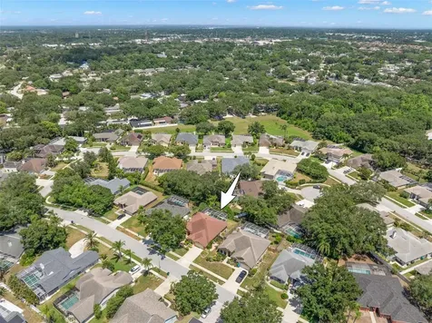 895 Whippoorwill Drive Palm Harbor FL 34683