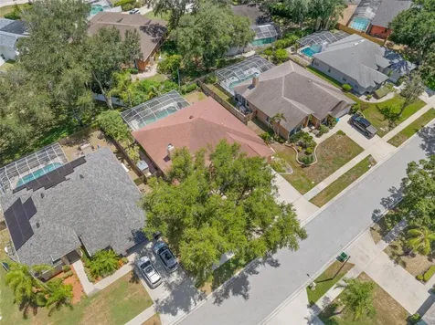 895 Whippoorwill Drive Palm Harbor FL 34683