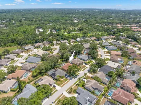 895 Whippoorwill Drive Palm Harbor FL 34683