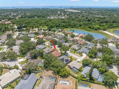895 Whippoorwill Drive Palm Harbor FL 34683