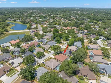 895 Whippoorwill Drive Palm Harbor FL 34683