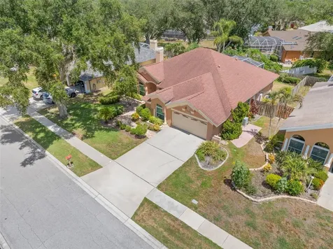 895 Whippoorwill Drive Palm Harbor FL 34683