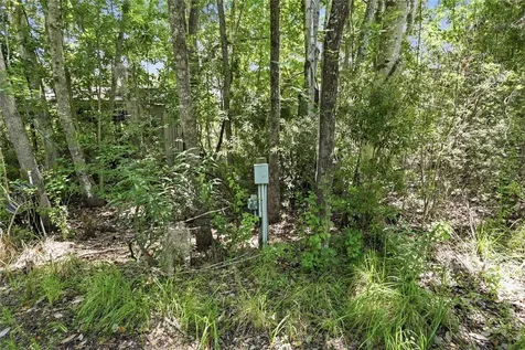 561 SE 28th Street Melrose FL 32666