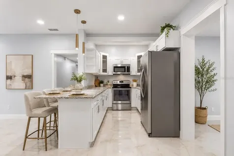 3009 E Flora Street Tampa FL 33610
