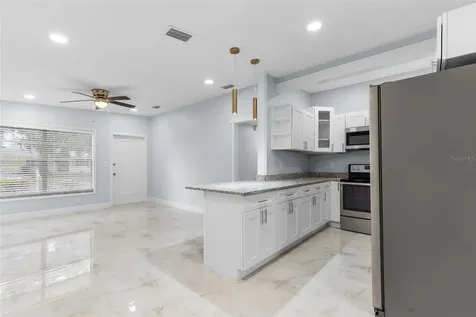 3009 E Flora Street Tampa FL 33610