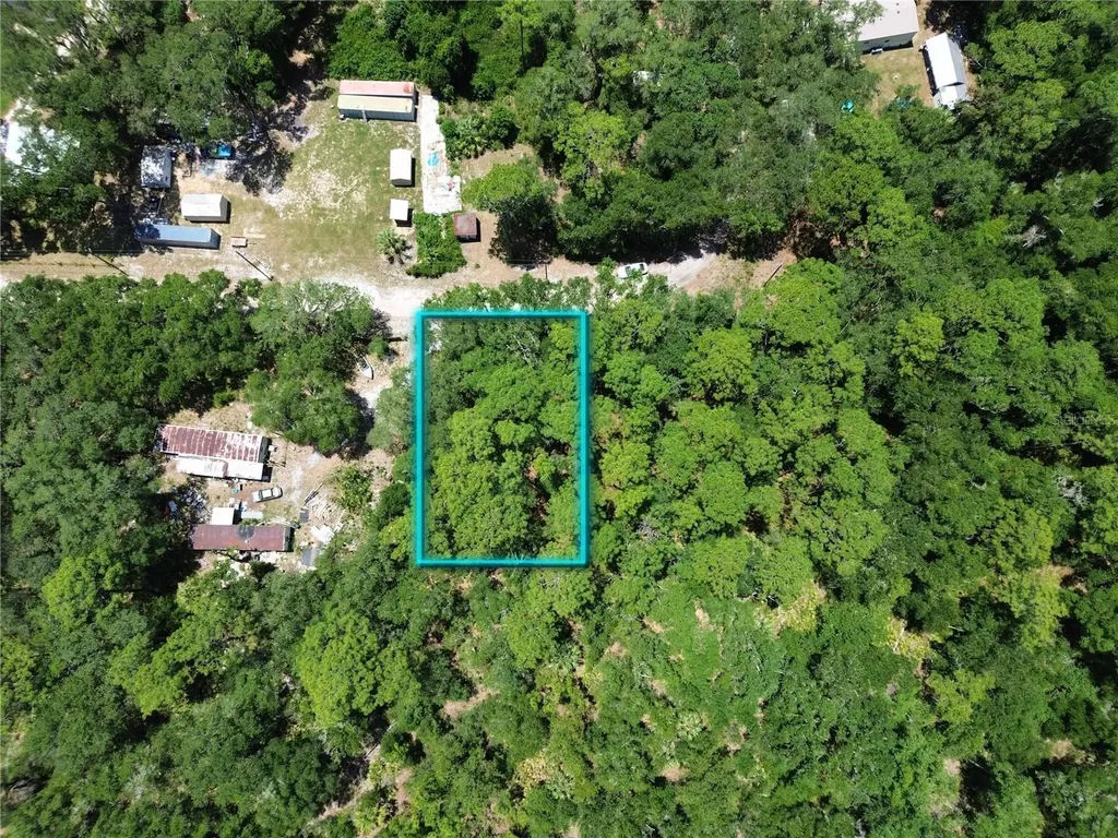 Tbd SE 86th Lane Ocklawaha FL 32179