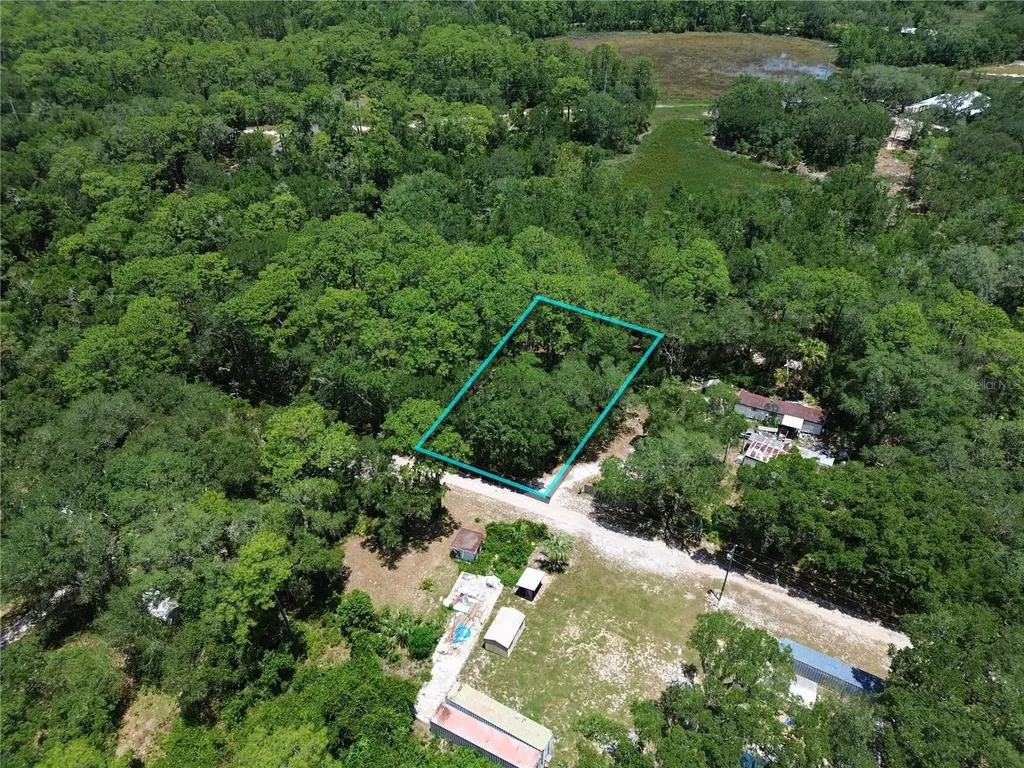 Tbd SE 86th Lane Ocklawaha FL 32179