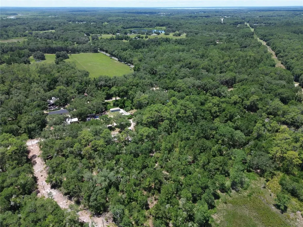 Tbd SE 86th Lane Ocklawaha FL 32179