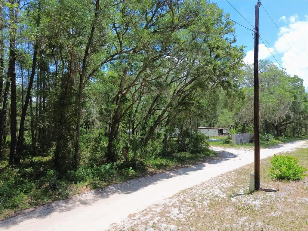 Tbd SE 86th Lane Ocklawaha FL 32179
