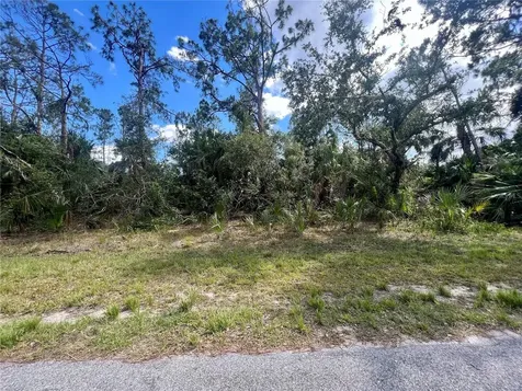 Vizza Lane North Port FL 34286