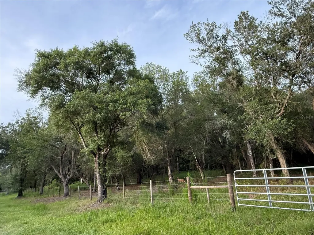 SE Brown Road Arcadia FL 34266