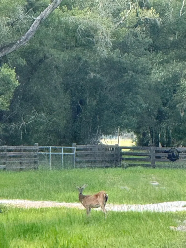 SE Brown Road Arcadia FL 34266