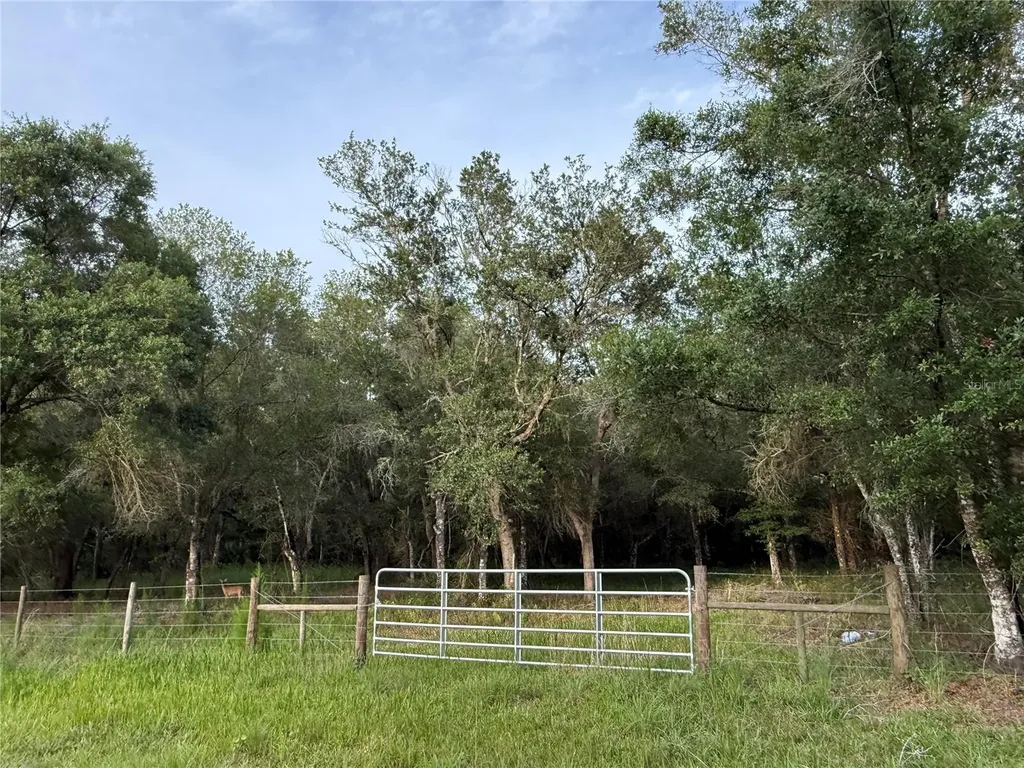 SE Brown Road Arcadia FL 34266