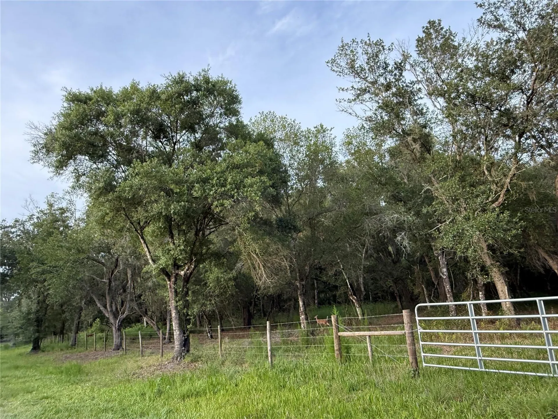 SE Brown Road Arcadia FL 34266