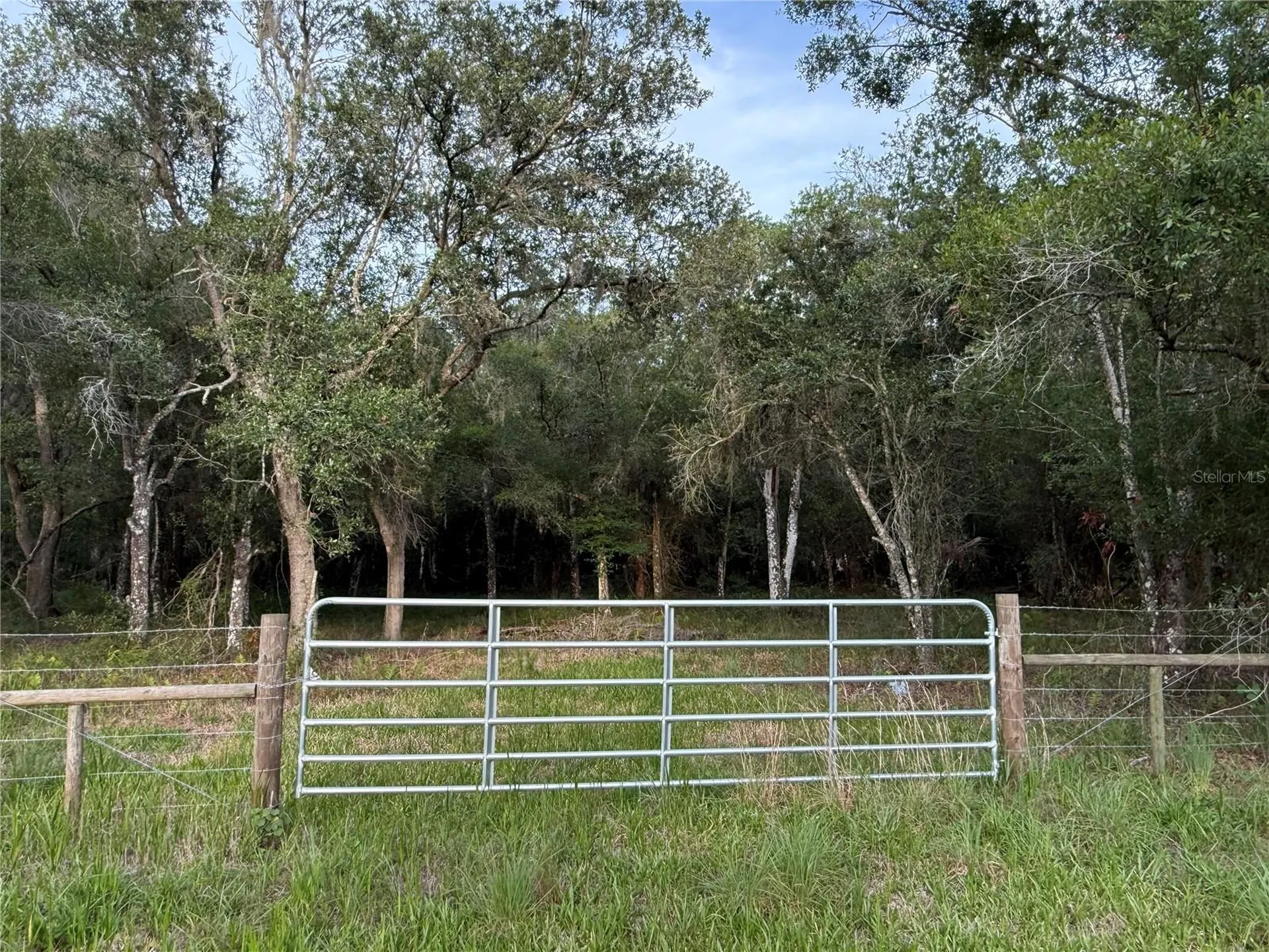 SE Brown Road Arcadia FL 34266