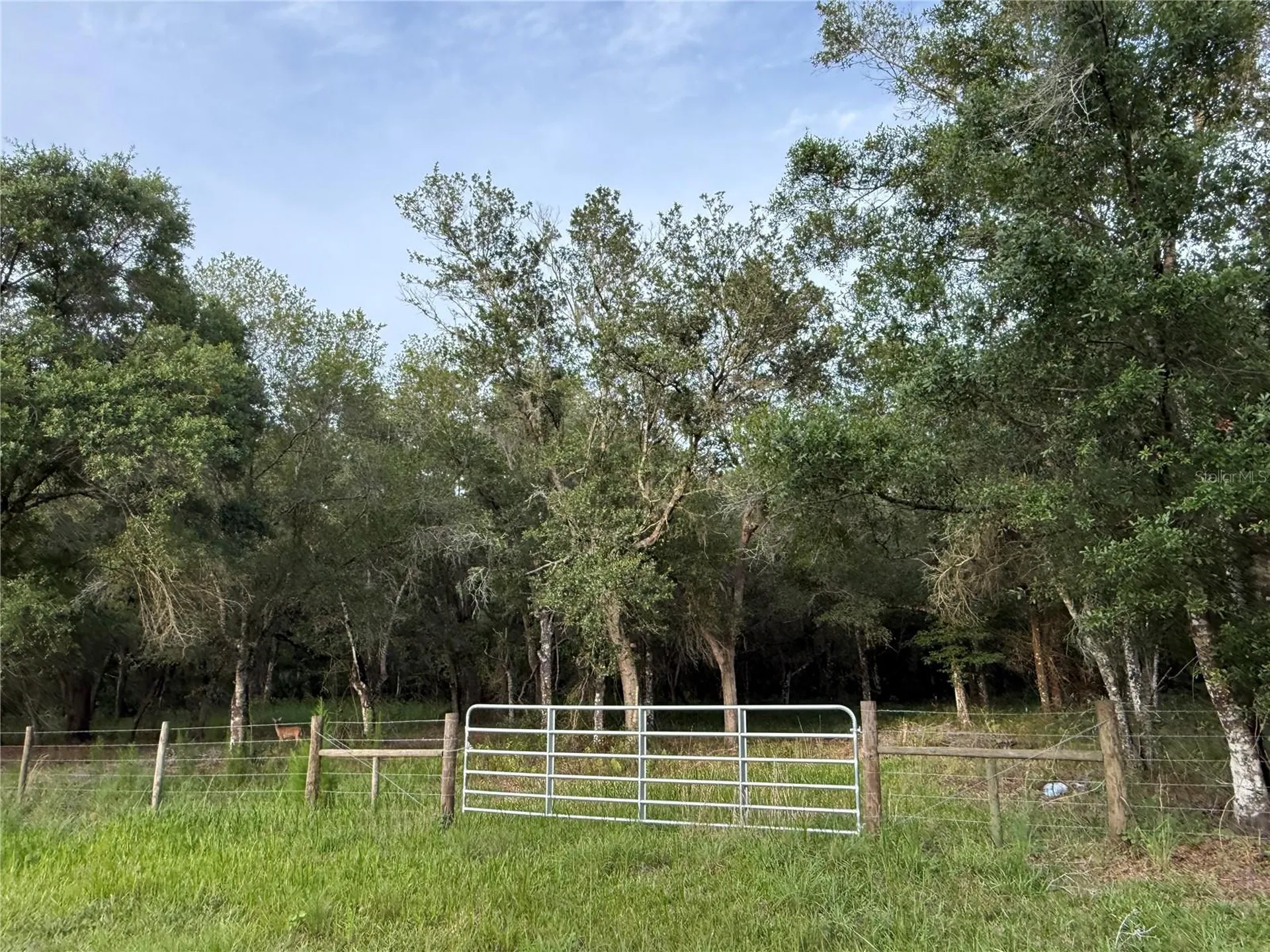 SE Brown Road Arcadia FL 34266