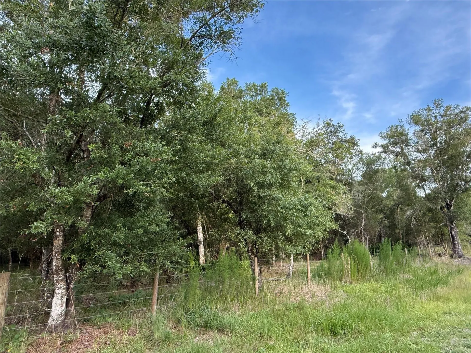 SE Brown Road Arcadia FL 34266