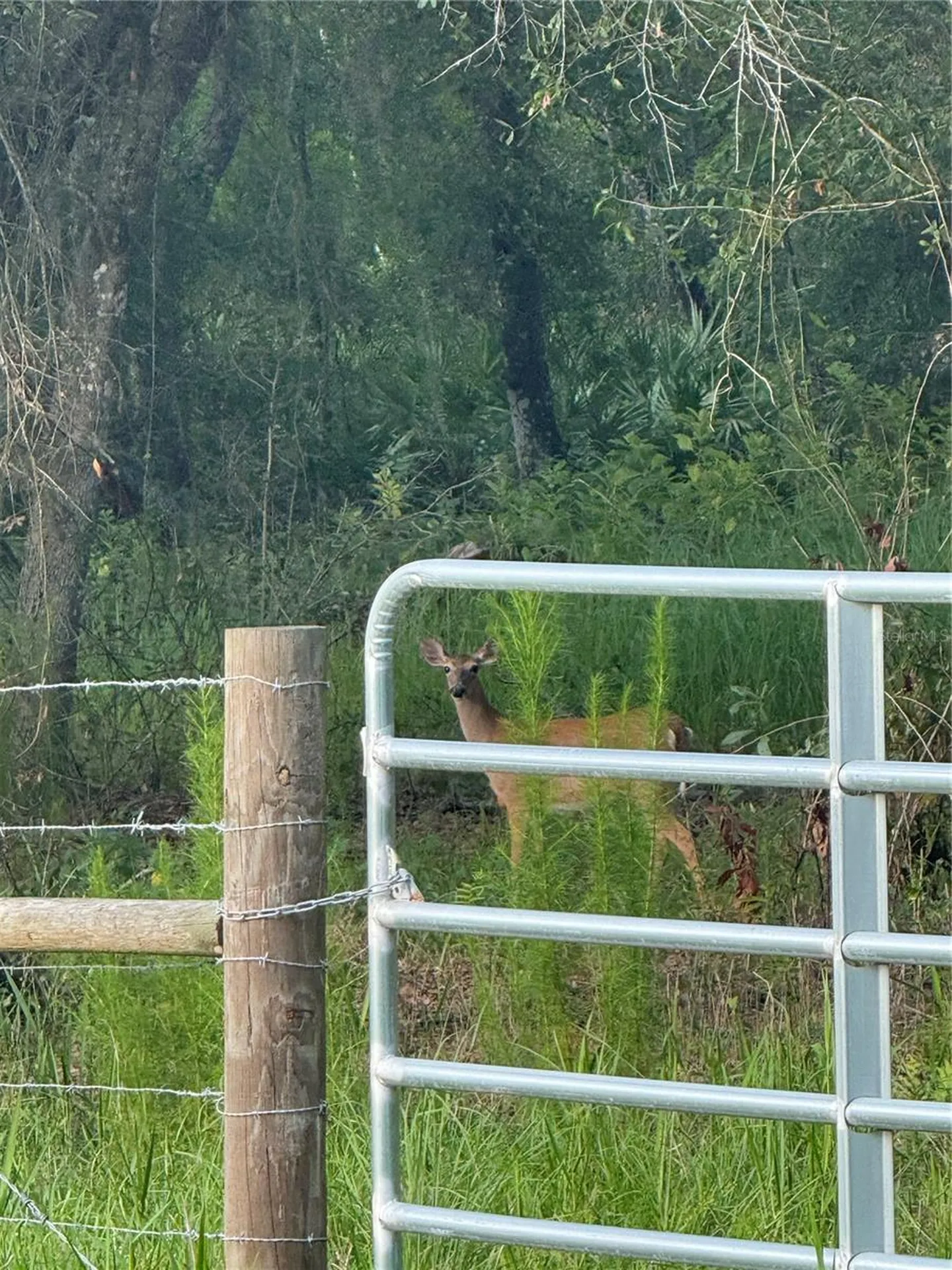 SE Brown Road Arcadia FL 34266