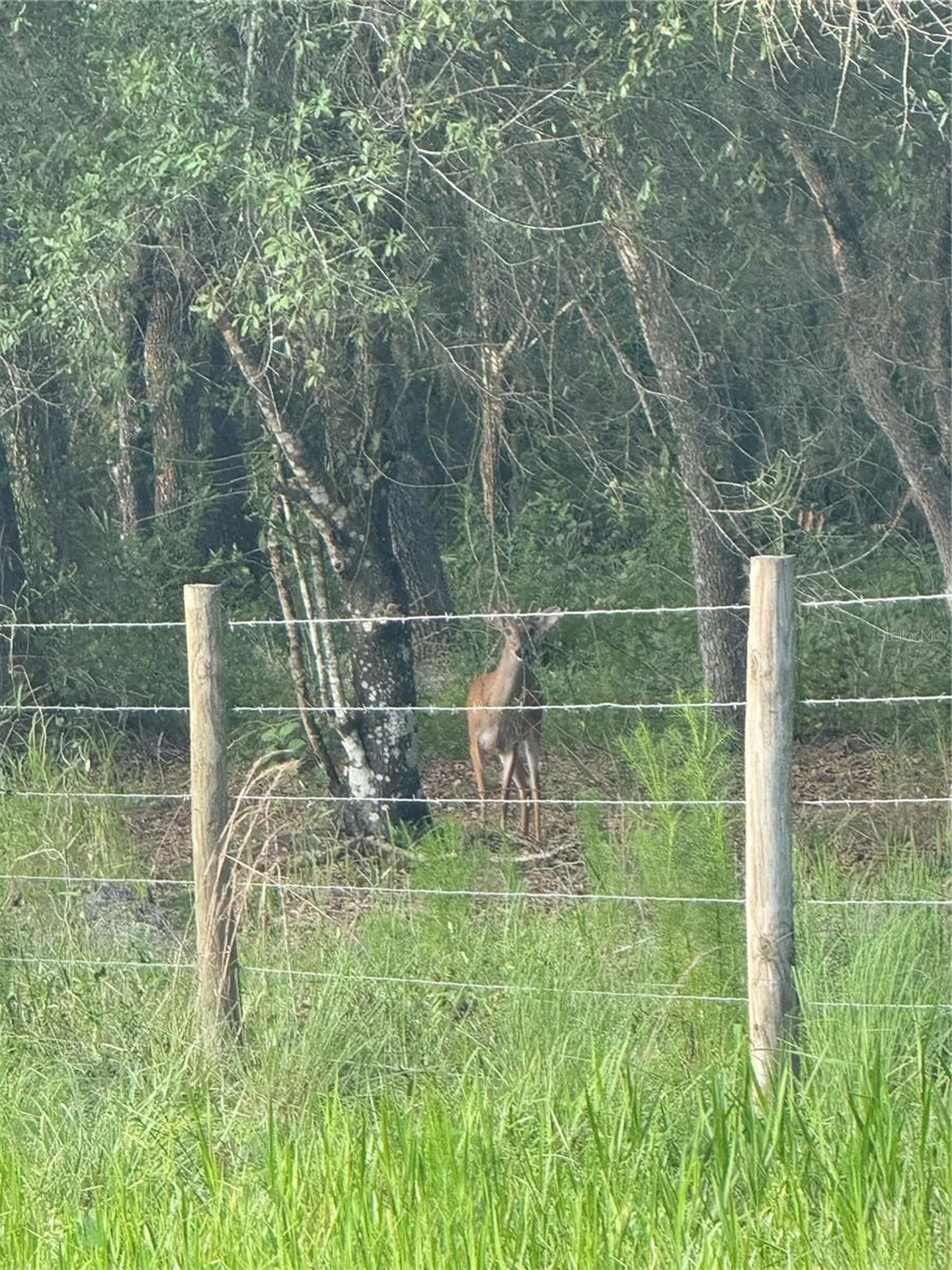 SE Brown Road Arcadia FL 34266