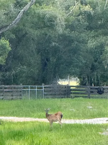 SE Brown Road Arcadia FL 34266