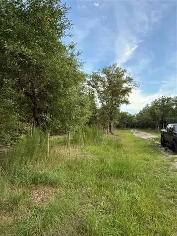 SE Brown Road Arcadia FL 34266