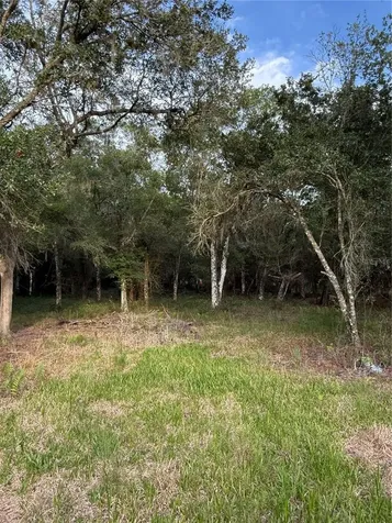 SE Brown Road Arcadia FL 34266