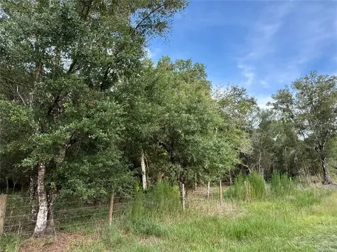SE Brown Road Arcadia FL 34266