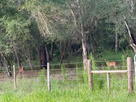 SE Brown Road Arcadia FL 34266