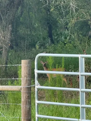 SE Brown Road Arcadia FL 34266