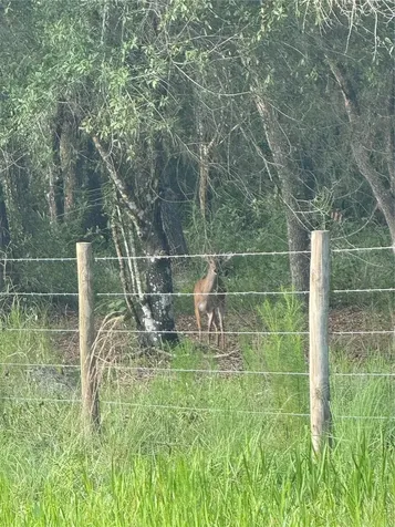 SE Brown Road Arcadia FL 34266