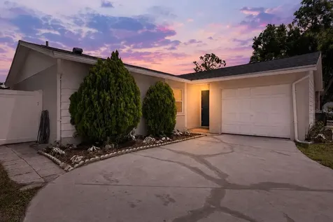 13826 Pathfinder Drive Tampa FL 33625