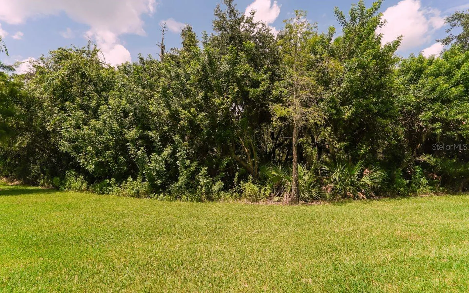 7339 Black Walnut Way Lakewood Ranch FL 34202