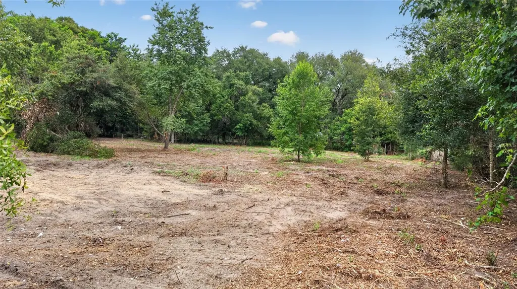 8608 Hamster Drive Zephyrhills FL 33540