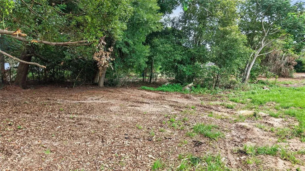 8608 Hamster Drive Zephyrhills FL 33540