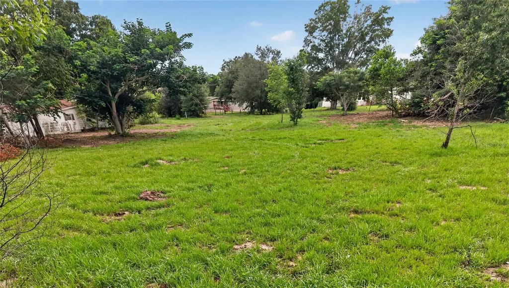 8608 Hamster Drive Zephyrhills FL 33540