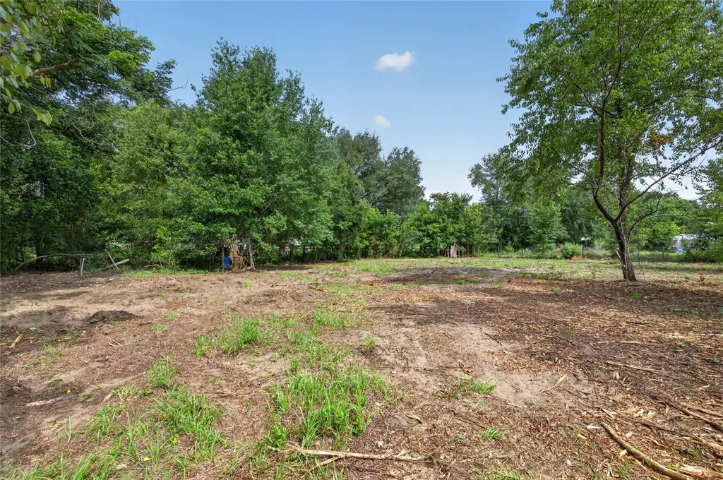 8608 Hamster Drive Zephyrhills FL 33540